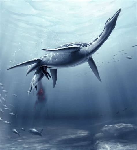Plesiosaur Dinosaur Fossil Solves Breeding Puzzle