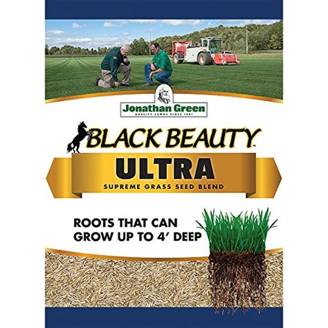 The Best Grass Seed Jonathan Green Expert Review In