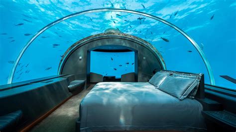 6 Best Underwater Hotels That Get You Up Close To Marine Life Tripadvisor