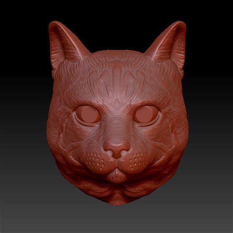 Free animal cat 3d models are ready for lowpoly, rigged, animated, 3d printable, vr, ar or game. cat head model | CGTrader