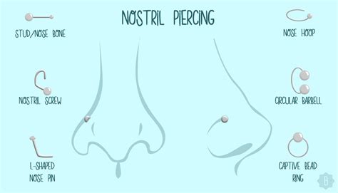 Types Of Nose Piercings Types Of Nose Rings Info Grap