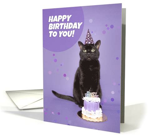 Happy Birthday Black Cat In Party Hat With Cake Humor Card 1667798