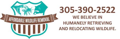 View ratings, photos, and more. Key Largo Wildlife Removal, Pest Animal Control FL ...
