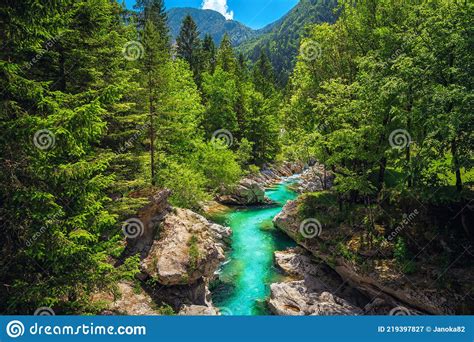 Beautiful Soca River And Gorge In The Forest Bovec Slovenia Stock