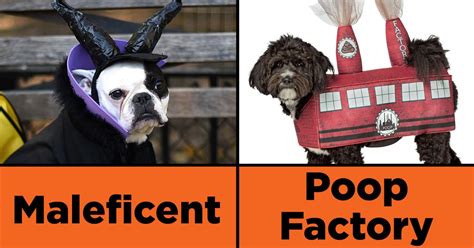 Judge A Dog Costume Contest And Well Tell You What Your Pup Should Be