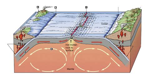 Seafloor Spreading And Plate Tectonics Floor Roma