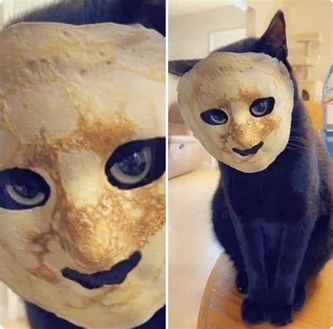 45 Pictures Of The Weirdest Things Youll Ever See Today Game Of Glam