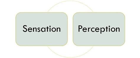 Difference Between Sensation And Perception With Examples Concept And