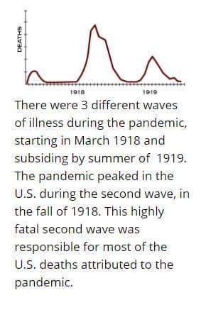 Spanish flu was the most devastating pandemic ever recorded, leaving major figures like medical philanthropist bill gates to draw comparisons to the when its first wave hit in the spring of 1918, the spanish flu seemed like just another flu. Coronavirus (COVID-19) and how to protect your Health and ...