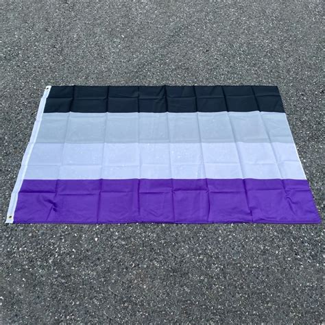 Aerlxemrbrae Rainbow Flag 90150cm Lgbtqia Community Nonsexuality