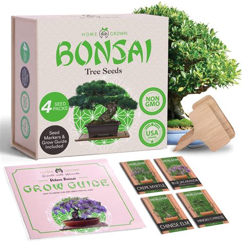 Buy Home Grown Bonsai Tree Kit Premium Bonsai Tree Starter Kit 4