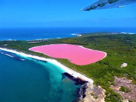 Swim In Lake Hillier Australias Pink Lake