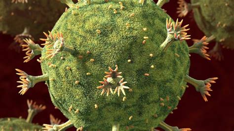 Hiv New Approach Against Virus Holds Promise Bbc News