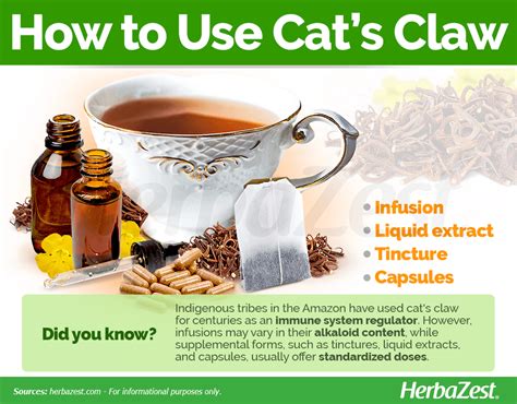 What Are The Benefits Of Cats Claw