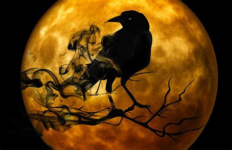 Hd Wallpaper Creepy Crow Gothic Halloween Moon Night Raven