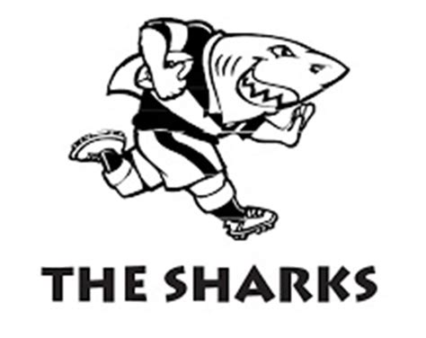 Sale sharks players have received death threats for not taking a knee as part of the black lives matter movement, with the south african contingent have been caught in the middle of a political crossfire. Support the Sharks as they go for gold today - Northern ...
