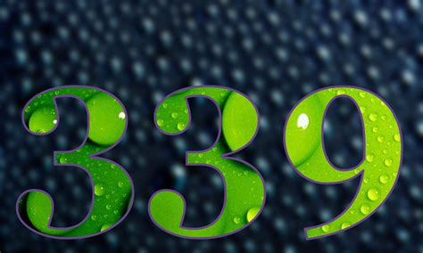 339 — триста тридцать девять натуральное нечетное число в ряду