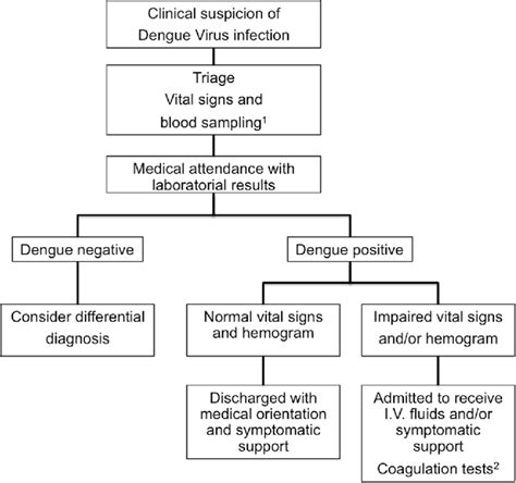 In 2014, an outbreak of dengue fever was identified in hawaii with other outbreaks in 2013 in brownsville, texas and key west, fla. Patient's flow chart attendance during dengue virus ...