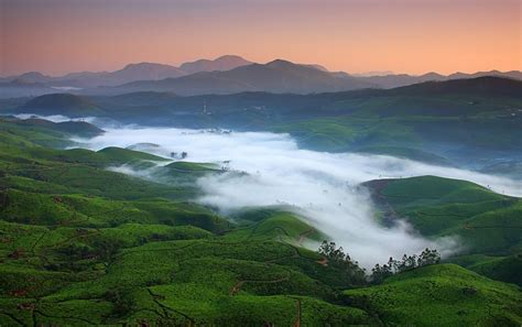 Munnar Wallpapers Wallpaper Cave