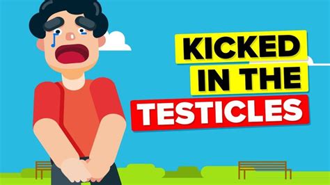 Video Infographic Why Does Getting Kicked In The Testicles Hurt So