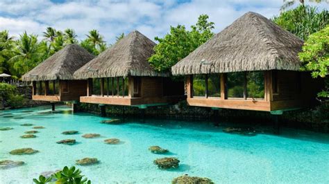 Overwater Bungalows Here Is Everything You Need To Know Savoteur
