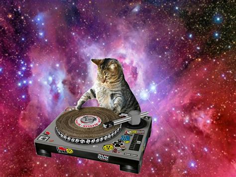 Delightful Cats In Space Artwork By Jennifer Palmer