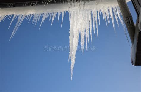 Large Icicles Hanging From The Roof On Blue Background Stock Photo