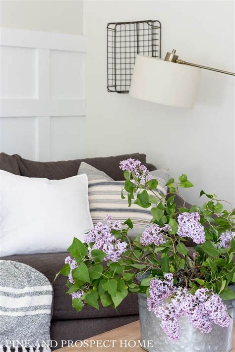 Decorating With Lilacs What To Know Before Clipping Pine And