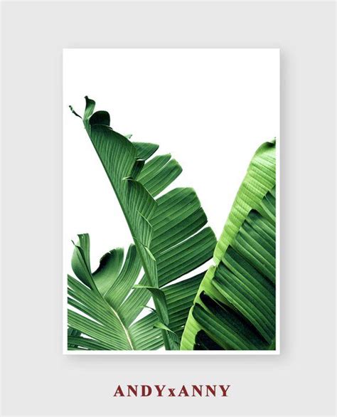 The fronds end up being large enough that the children can carry them around waving them for a palm sunday parade. Tropical Leaves Set of 6 Prints, Botanicals Prints, Banana ...