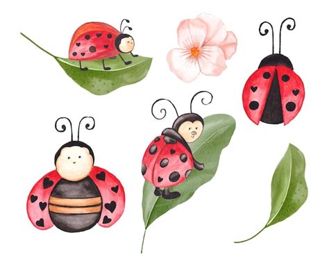 Premium Vector Watercolor Ladybug Clipart Set With Leaves Cute