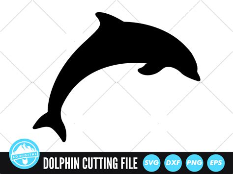 Dolphin Svg Dolphin Silhouette Cut File By Ld Digital Thehungryjpeg