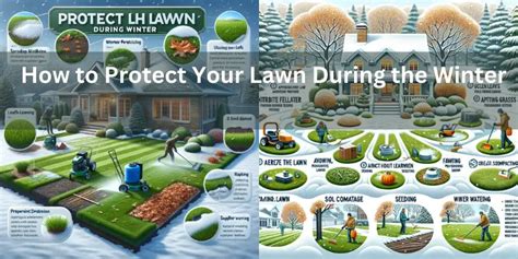 How To Protect Your Lawn During The Winter Essential Care Tips