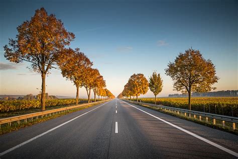 Free Download Hd Wallpaper Long Straight Road With Trees On The Side