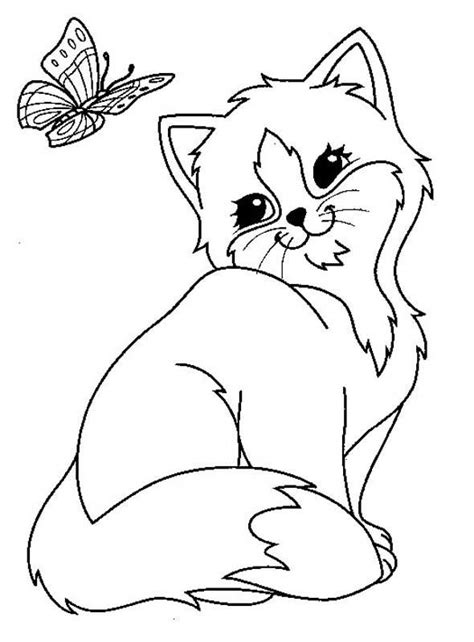 cat  butterfly coloring page  printable coloring pages  kids