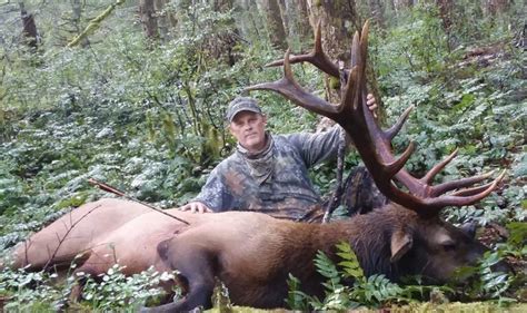 Elk Hunting In Oregon﻿ Schminter
