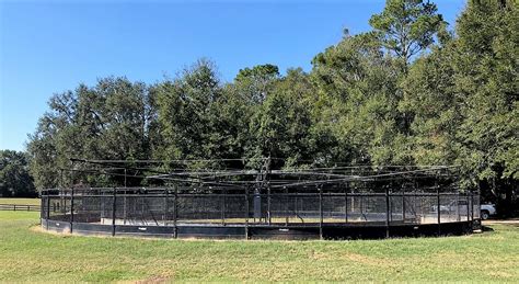 Find the latest one stop systems, inc. Farm & Ranch Supplies :: Ocala Breeders Feed & Supply