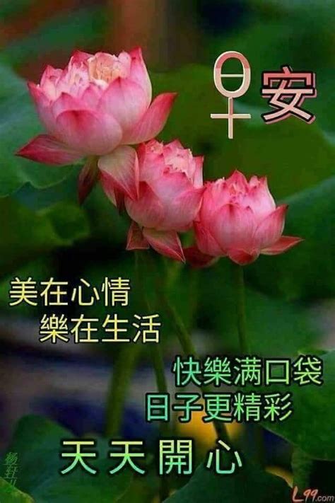 See more ideas about chinese quotes, morning greeting, good morning greetings. Pin by May on Good Morning Wishes (Chinese) | Good morning ...