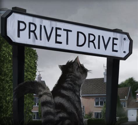 4 privet drive was the street address of the home owned by vernon and petunia dursley. Number Four, Privet Drive | Pottermore Wiki | Fandom ...