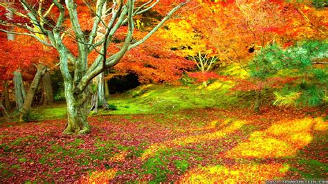 Autumn Scenes Wallpaper ·① Wallpapertag