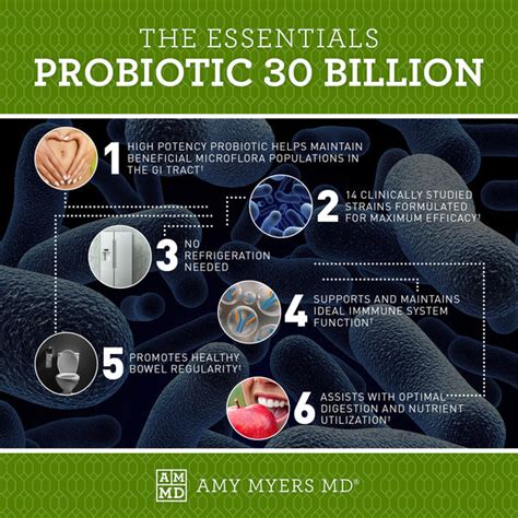 Probiotic Capsules 30 Billion Amy Myers Md
