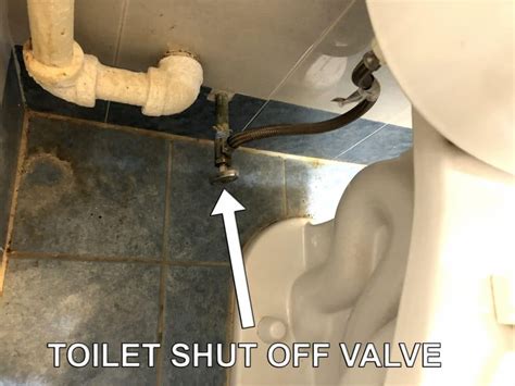 Overflowing Toilet How To Quickly Prevent One From Creating Damage Balkan Drain Cleaning