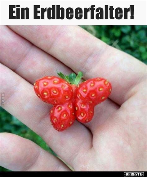 Ein Erdbeerfalter!.. | Lustige Bilder, Sprüche, Witze, echt lustig