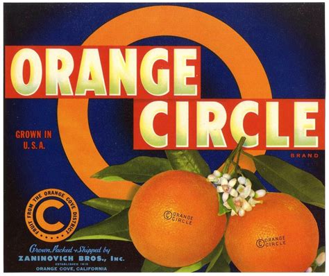 Orange Circle~original 1940s Orange Cove California Art Deco Fruit