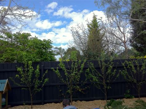 Check spelling or type a new query. Haymes 'Charcoal' fence paint | Home | Pinterest | Paint ...