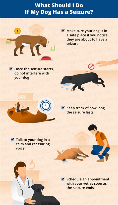 Shivering is common, but uncontrollable tremors are not. How Long Do Dog Seizures Last? | Canna-Pet