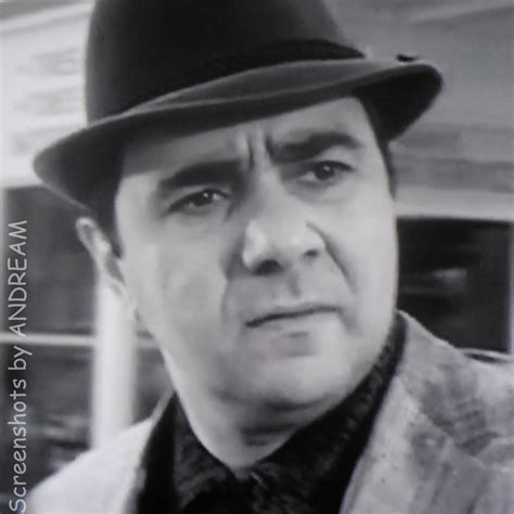  Michael Constantine, Guest Star 'Everybody Gets Hit in the ...