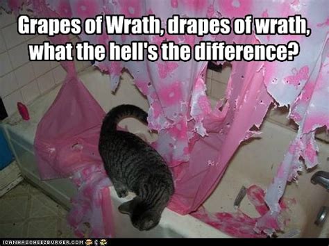 Grapes Of Wrath Lolcats Lol Cat Memes Funny Cats Funny Cat