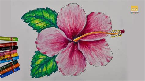 How To Draw A Hibiscus Flower Easy Ii Hibiscus Flower Drawing Ii
