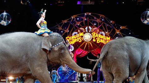 Elephants Perform For Final Time At Ringling Bros Circus Abc7 San