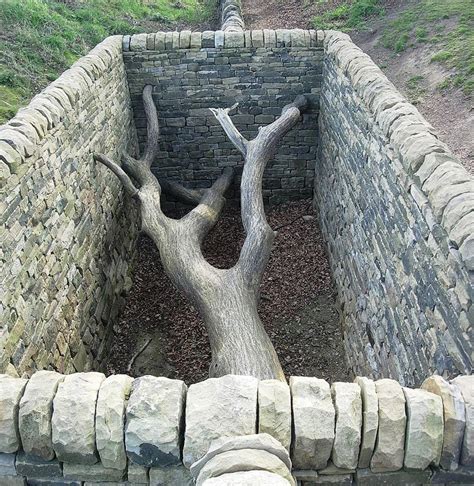 Andy Goldsworthy Magical Land Art